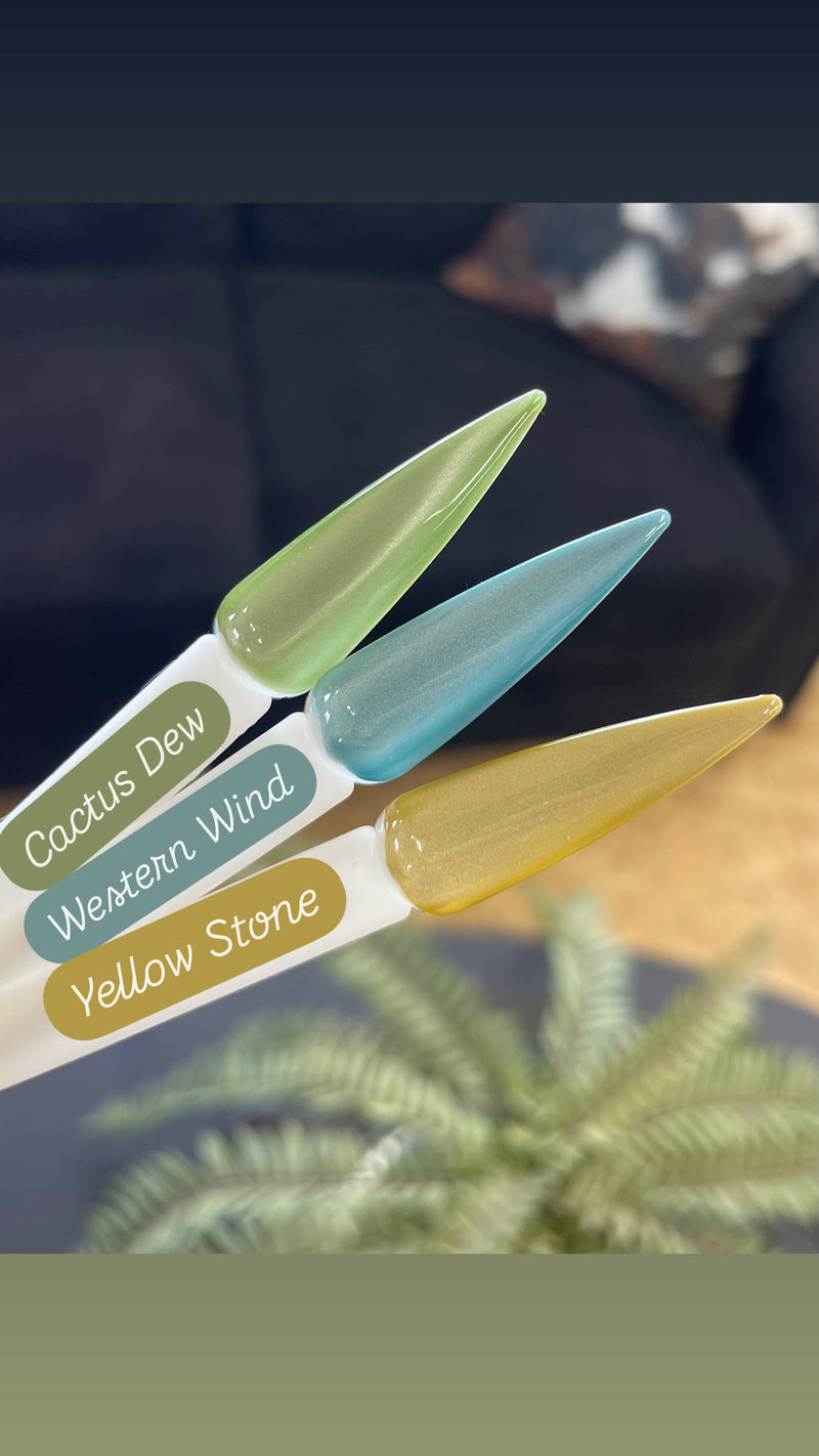 Western Wind- CNS Hema Free Cateye Gel Polish