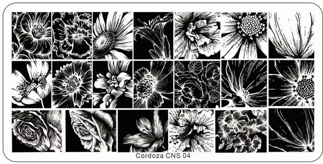 CNS Stamping Plate 04.