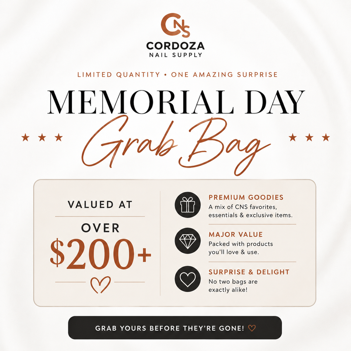 Memorial Day Grab Bag - VALUE PACKED - $200+ In Products