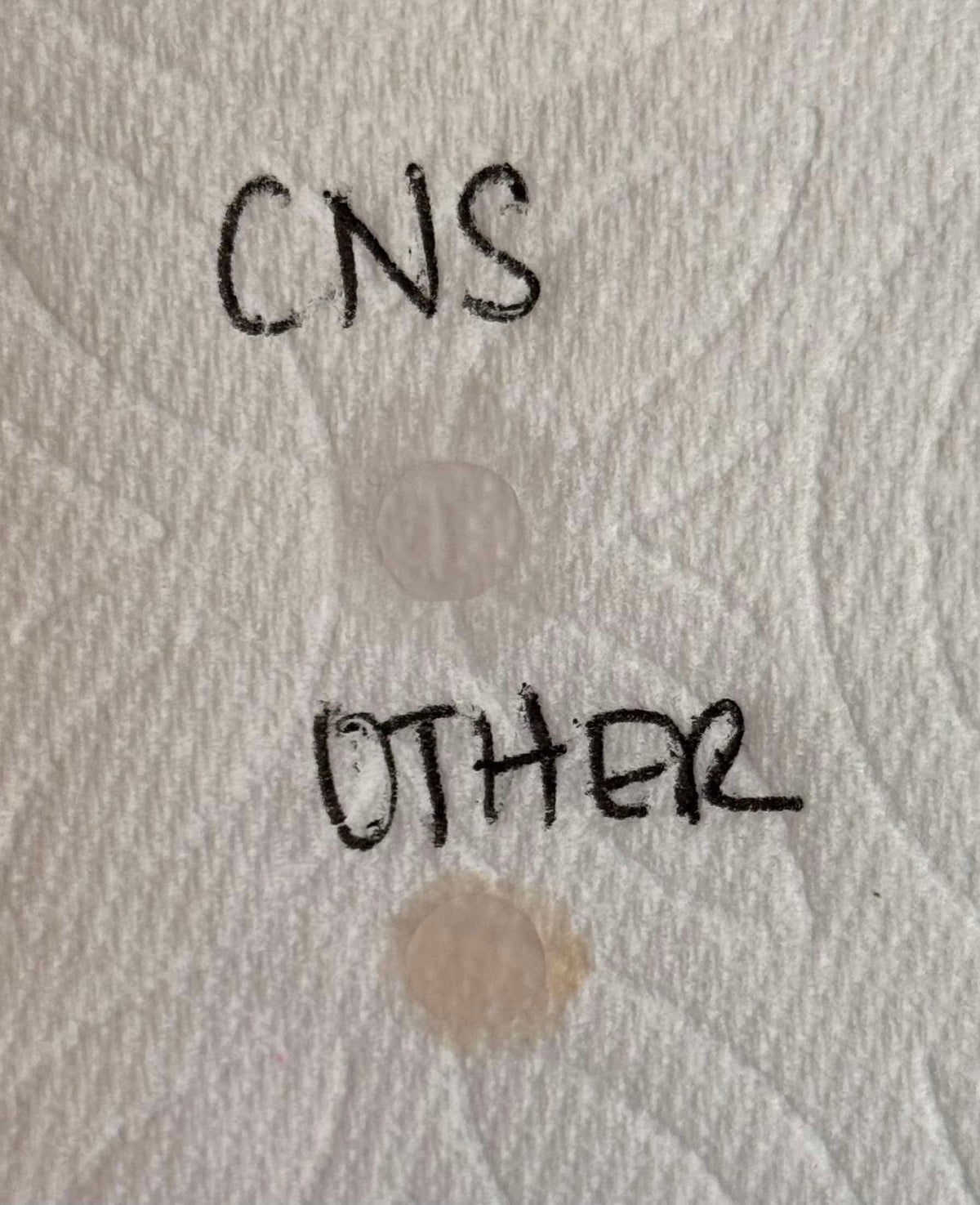 CNS Ultra Clear Acrylic Powder