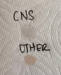 CNS Ultra Clear Acrylic Powder