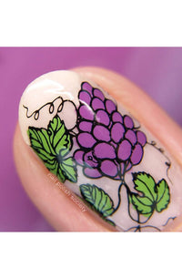 Bottoms Up - Cordoza Nail Supply