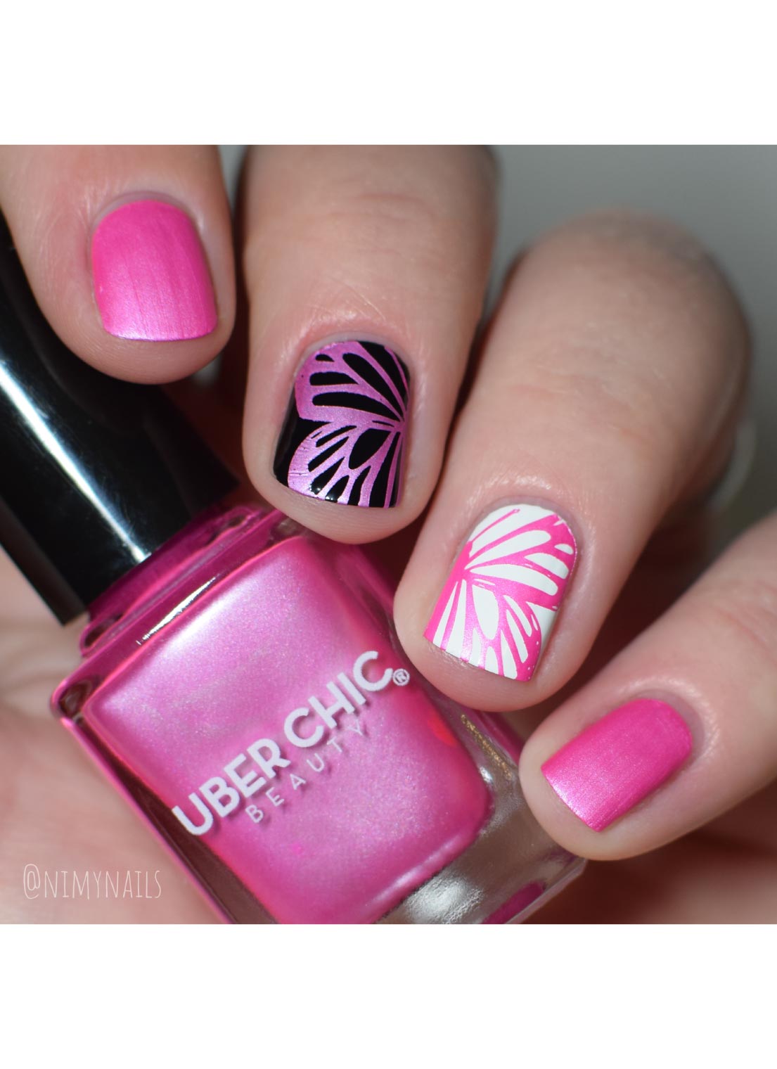 Butterflies - Cordoza Nail Supply