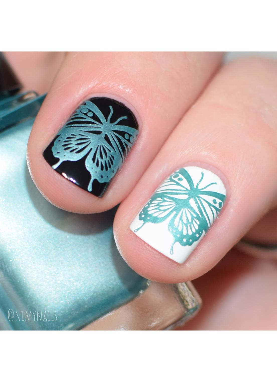 Butterflies - Cordoza Nail Supply
