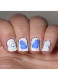 Butterflies - Cordoza Nail Supply