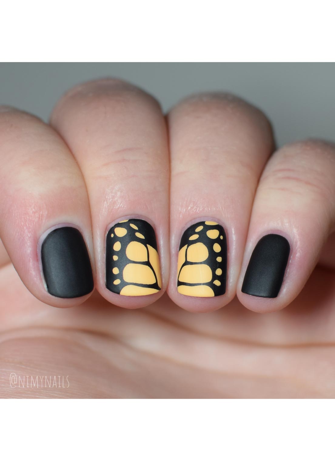 Butterflies - Cordoza Nail Supply