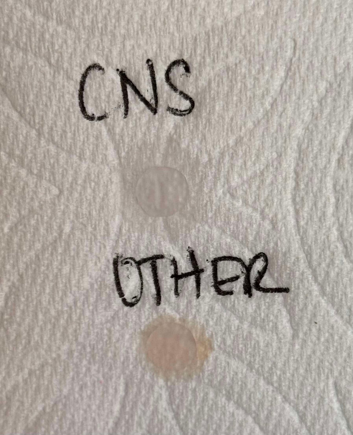 CNS Ultra Clear Acrylic Powder - Cordoza Nail Supply