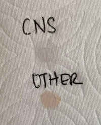 CNS Ultra Clear Acrylic Powder - Cordoza Nail Supply