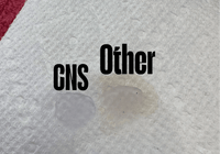 CNS Ultra Clear Acrylic Powder - Cordoza Nail Supply
