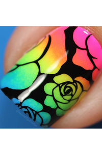 Collection 01 - Cordoza Nail Supply