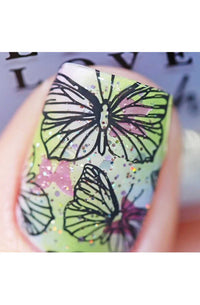 Collection 01 - Cordoza Nail Supply