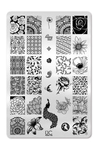 Collection 01 - Cordoza Nail Supply