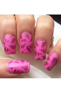 Collection 03 - Cordoza Nail Supply