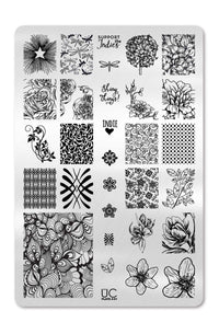 Collection 04 - Cordoza Nail Supply