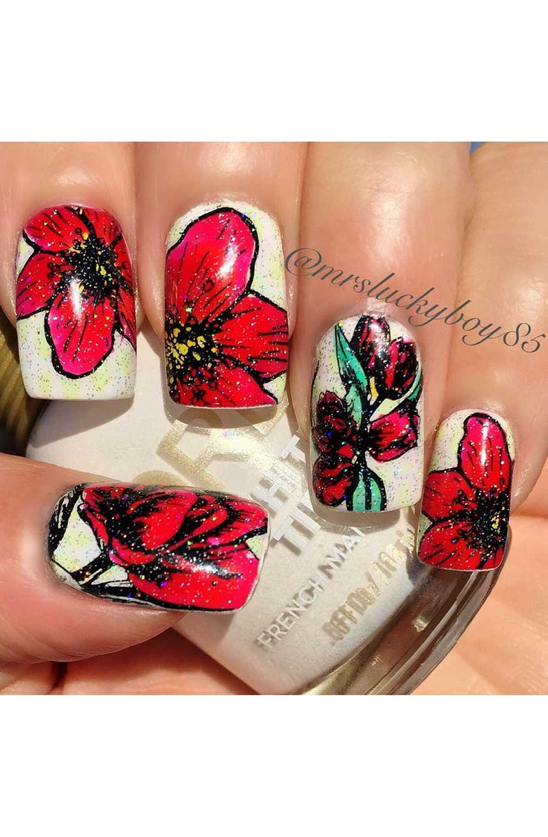 Collection 04 - Cordoza Nail Supply