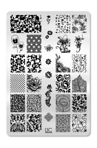 Collection 05 - Cordoza Nail Supply