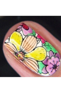 Collection 09 - Cordoza Nail Supply