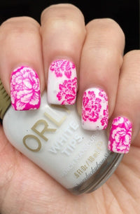 Collection 09 - Cordoza Nail Supply