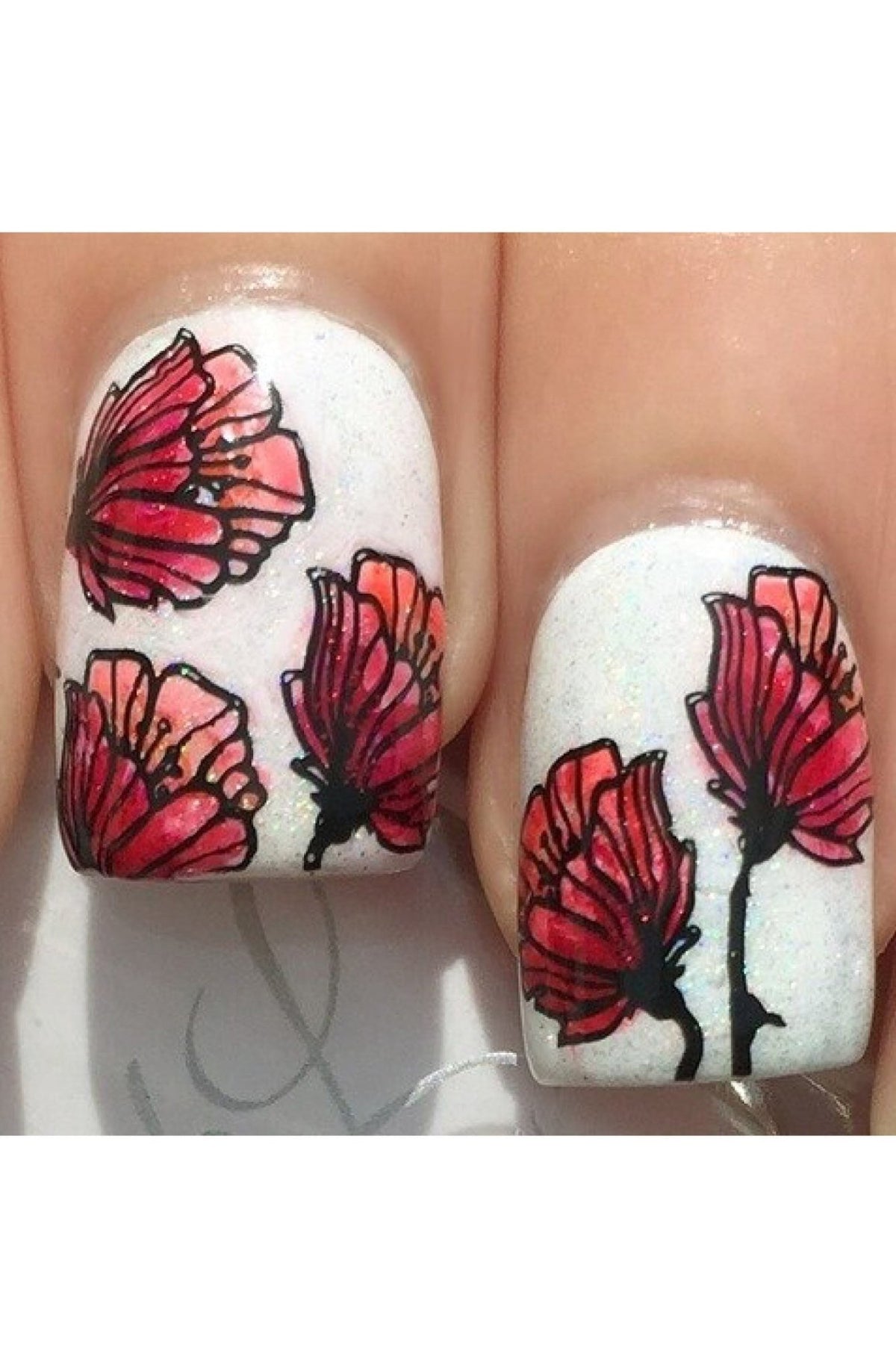 Collection 09 - Cordoza Nail Supply