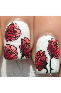 Collection 09 - Cordoza Nail Supply