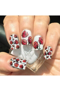 Collection 09 - Cordoza Nail Supply