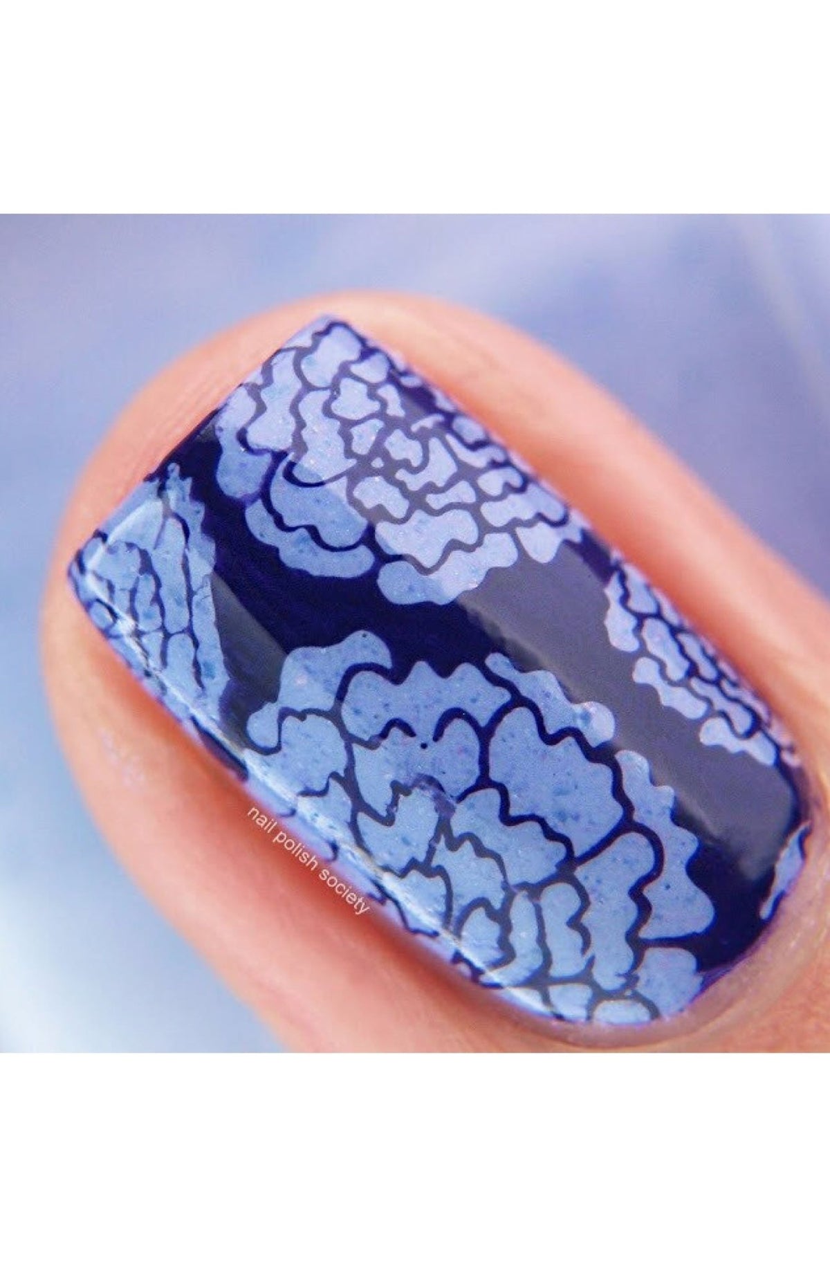 Collection 10 - Cordoza Nail Supply