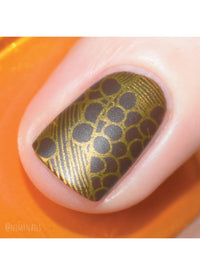 Collection 11 - Cordoza Nail Supply