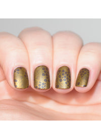 Collection 11 - Cordoza Nail Supply