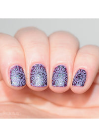 Collection 11 - Cordoza Nail Supply