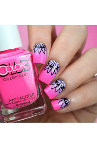 Collection 13 - Cordoza Nail Supply