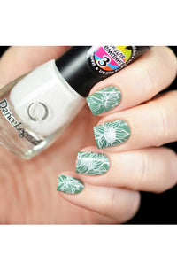 Collection 13 - Cordoza Nail Supply