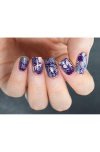 Collection 13 - Cordoza Nail Supply