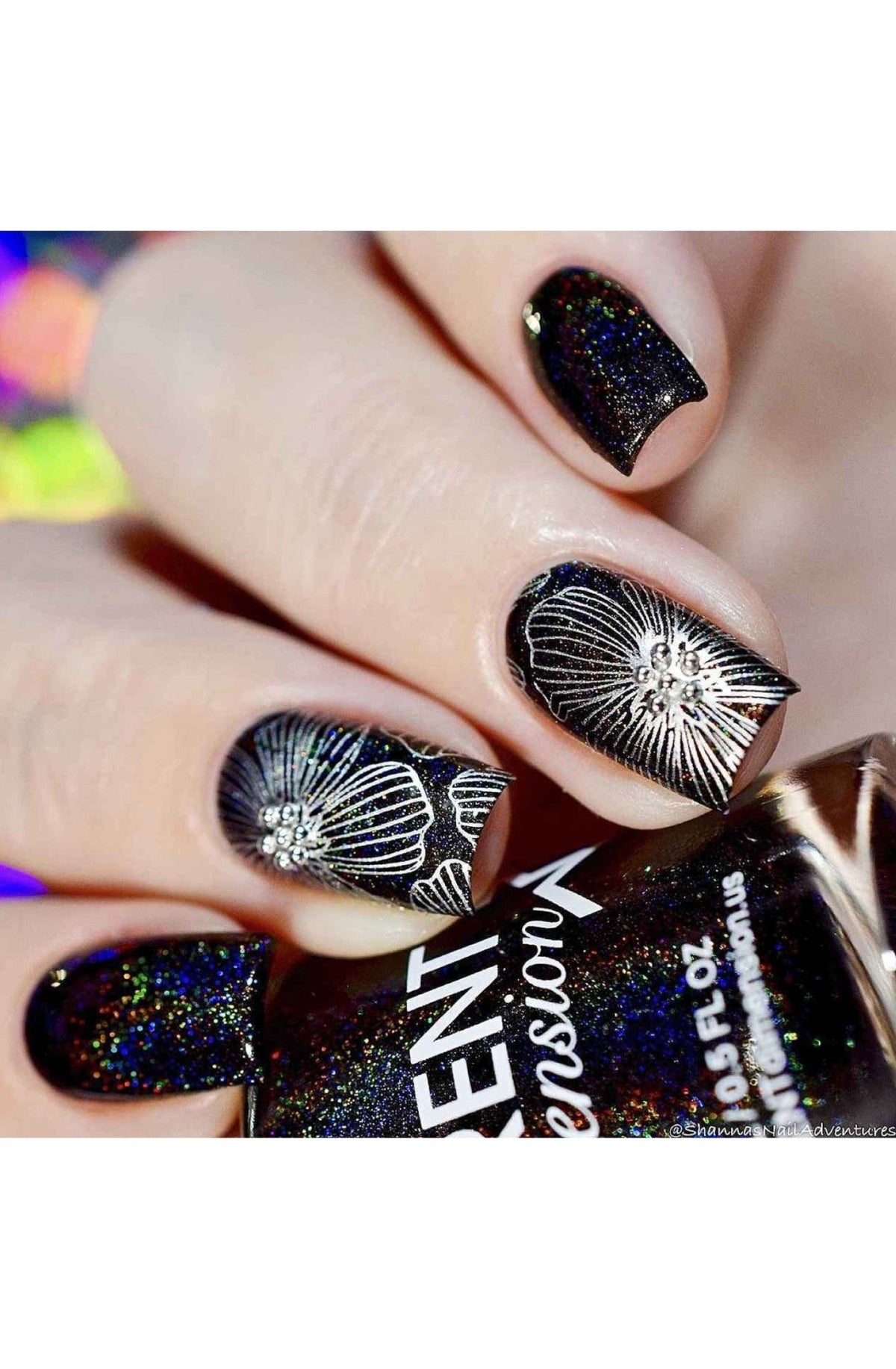 Collection 14 - Cordoza Nail Supply
