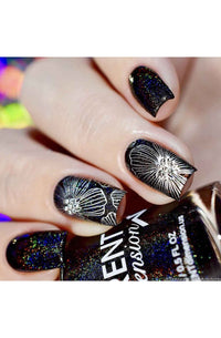 Collection 14 - Cordoza Nail Supply