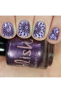 Collection 14 - Cordoza Nail Supply