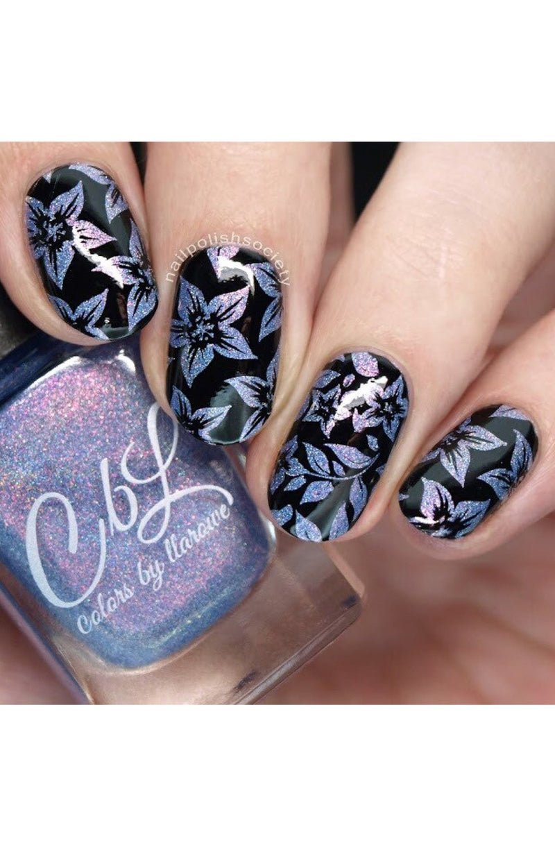 Collection 16 - Cordoza Nail Supply