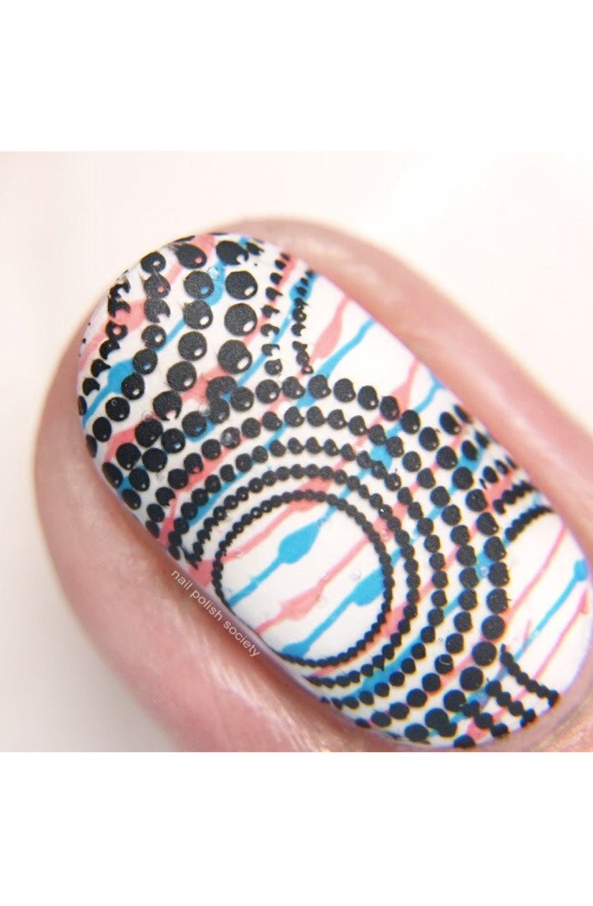Collection 16 - Cordoza Nail Supply