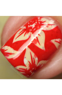 Collection 16 - Cordoza Nail Supply