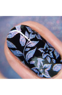 Collection 16 - Cordoza Nail Supply