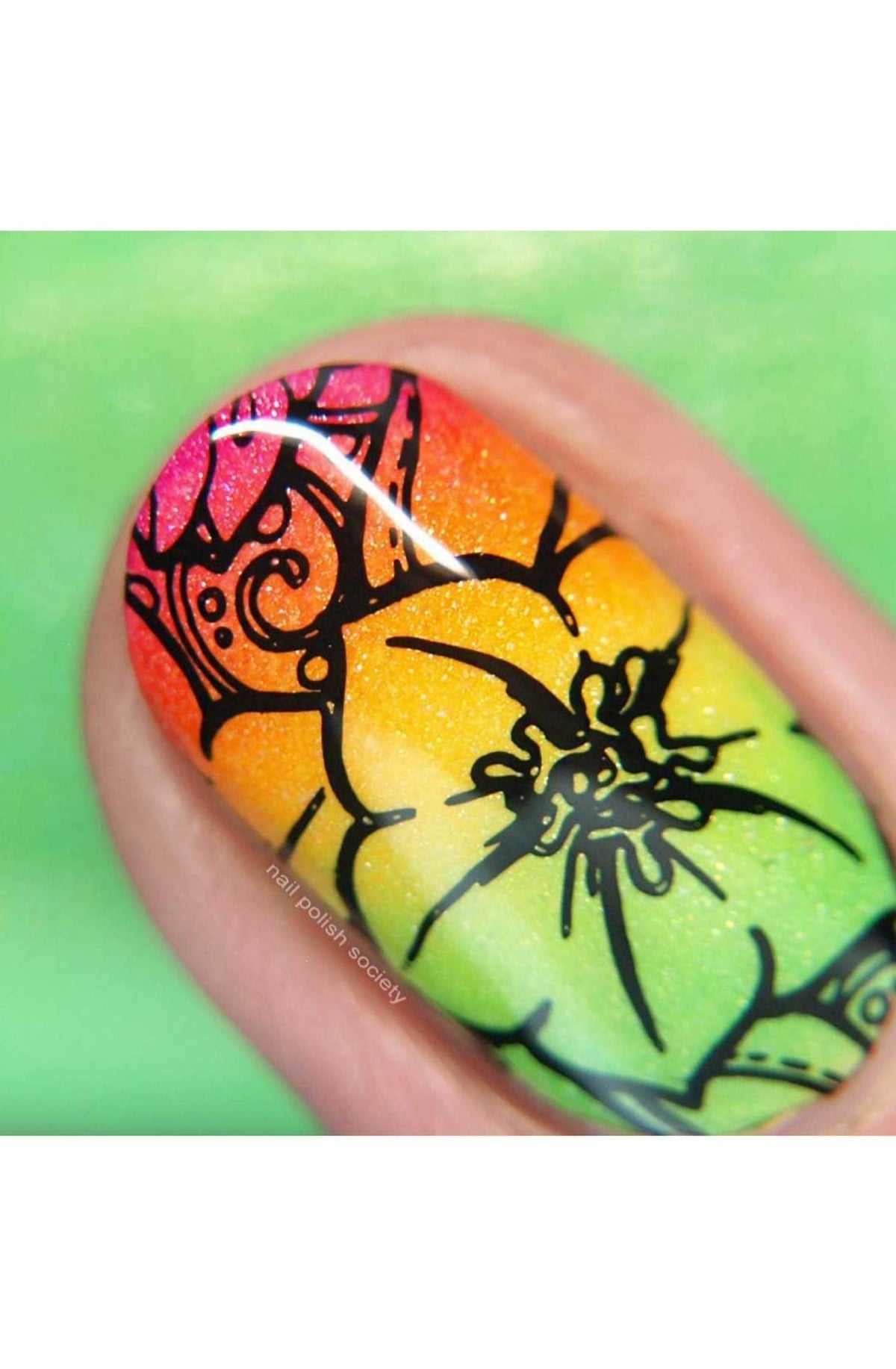 Collection 18 - Cordoza Nail Supply