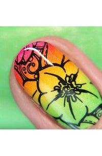 Collection 18 - Cordoza Nail Supply