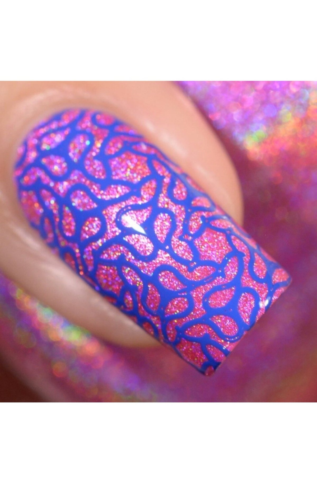 Collection 19 - Cordoza Nail Supply