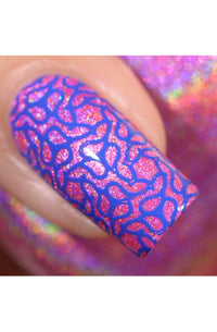 Collection 19 - Cordoza Nail Supply