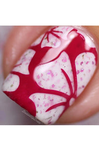 Collection 19 - Cordoza Nail Supply