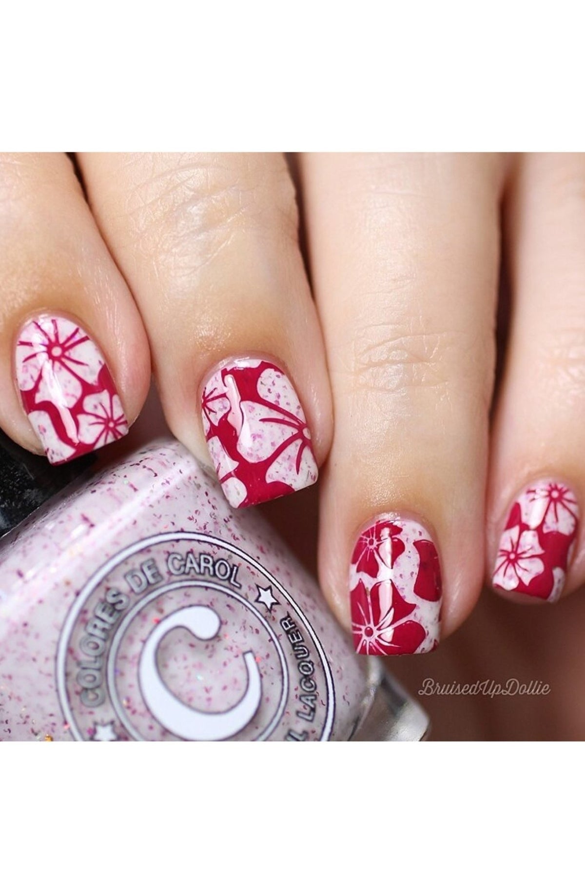 Collection 19 - Cordoza Nail Supply