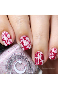 Collection 19 - Cordoza Nail Supply