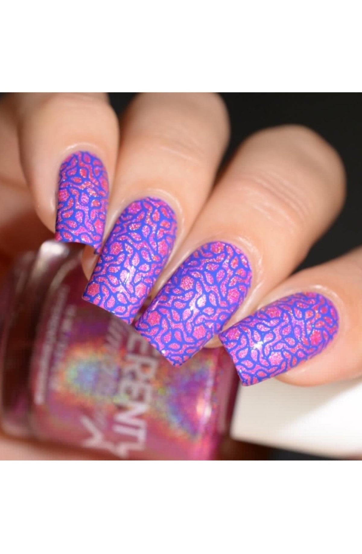Collection 19 - Cordoza Nail Supply