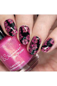 Collection 20 - Cordoza Nail Supply