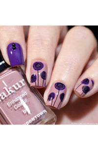 Collection 20 - Cordoza Nail Supply