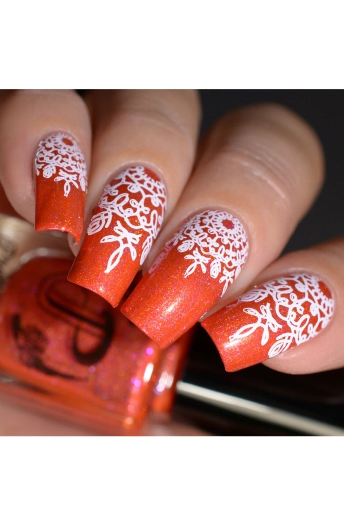 Collection 20 - Cordoza Nail Supply